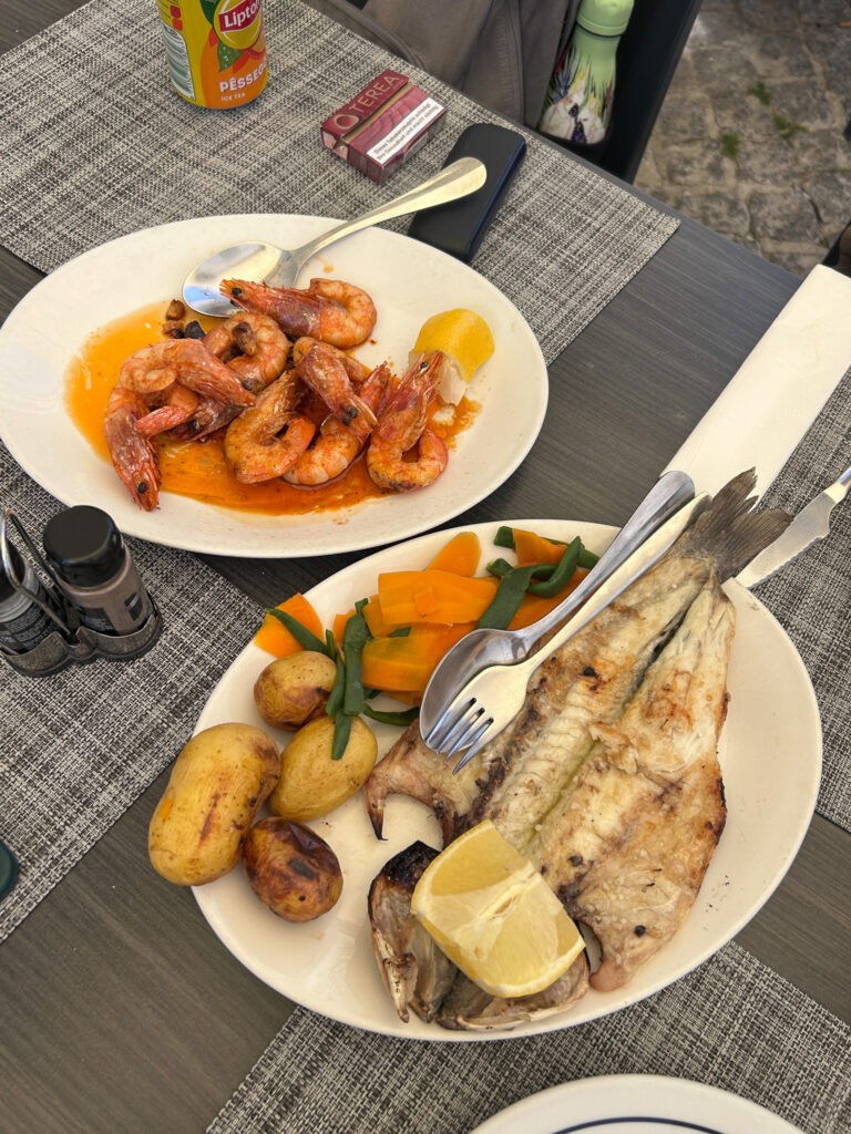 Why we chose albufeira as our base in the algarve img 5583